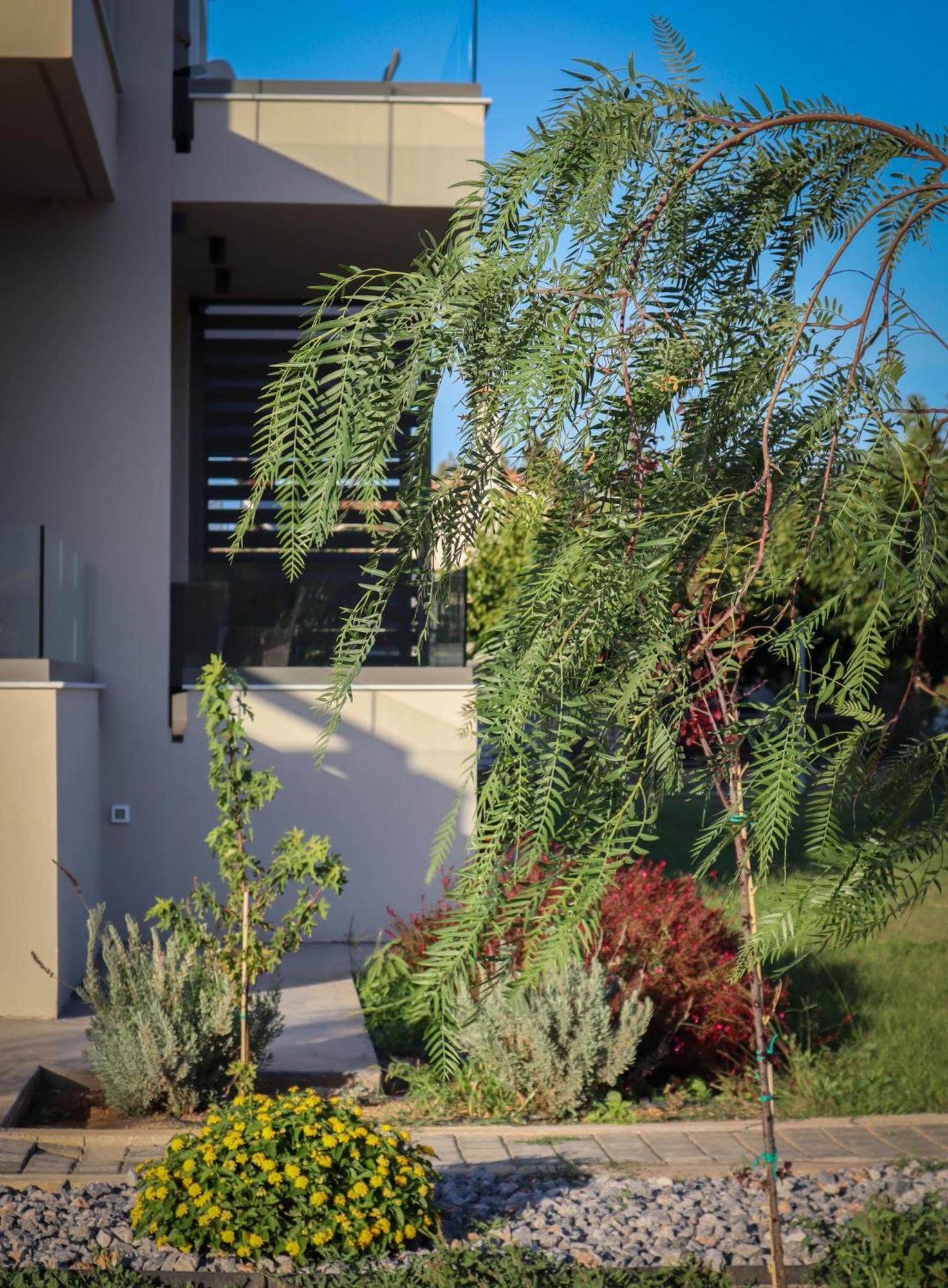 Almyres Luxurious Residences Míloi Extérieur photo